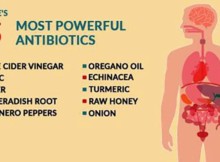 15 Most Powerful Natural Antibiotics Known to Mankind