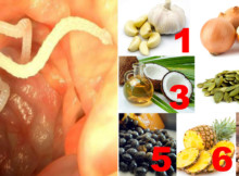 Internal Parasites Can Be Killed By Help of Those 7 Herbs, Fruits, and Nuts