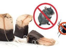 You Won’t Believe This! One Tea Bag And You Won’t See A Mice Or Spiders In Your House Once More!