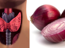 “Red Onions Can Make Wonders for the Thyroid Gland” – Confirmed by the Doctors as Well (Recipe)