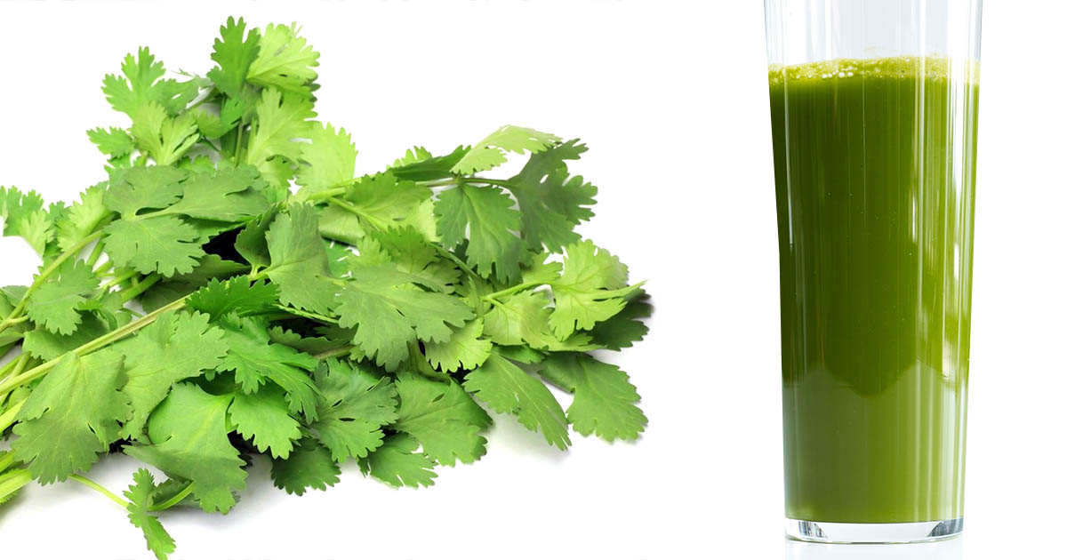 10 Advantages of Coriander Juice Related to Your Overall Health