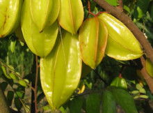 Carambola Fruit will help you lower cholesterol level, control diabetes and improve your health