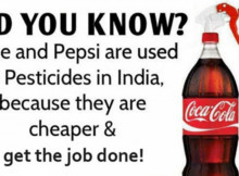 Coca-Cola and Pepsi Can be Used as Pesticides, Then Why Are We Still Drinking This Stuff in Spite of Everything?