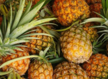 Get these health benefits by consuming Pineapple