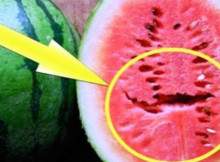 If you find this in watermelon you should throw it immediately!! Read more to find out about the danger over your health…