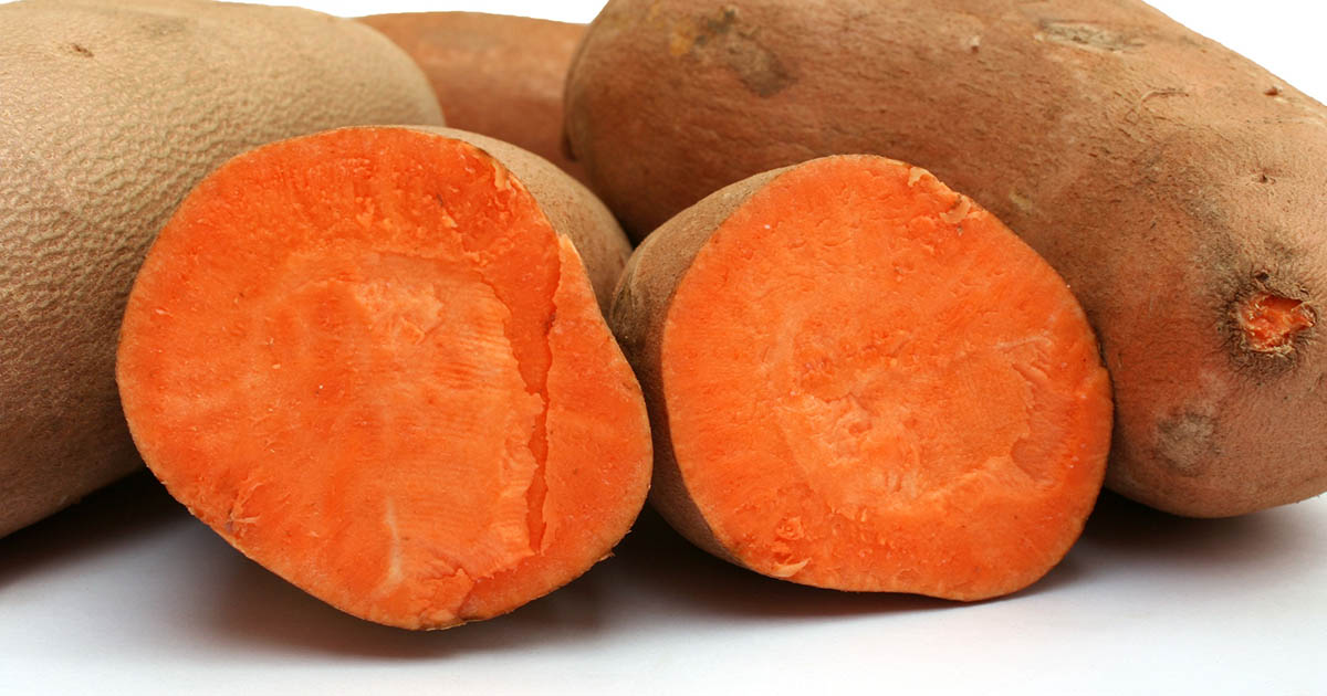 Learn the 15 Reasons Why Sweet Potatoes Are Great For Diabetics