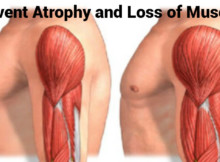 These two fruits will help you prevent atrophy and loss of muscles