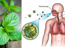 9 Herbs to Boost the Immune System and Repair Lung Damage