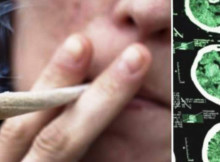 See What Happens In the Body After Marijuana Is Consumed